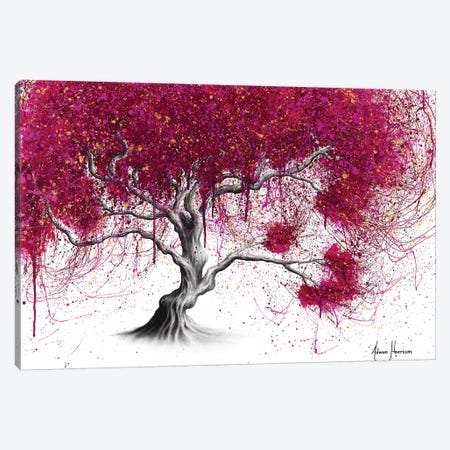 Magenta Kissing Tree Canvas Print #VIN427} by Ashvin Harrison Canvas Wall Art