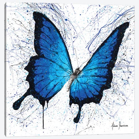 Tropics of Blue Butterfly Canvas Print #VIN429} by Ashvin Harrison Canvas Print