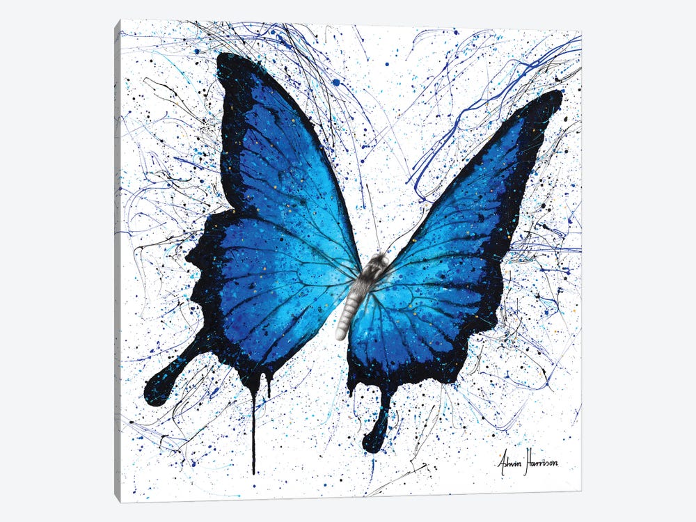 Tropics of Blue Butterfly by Ashvin Harrison 1-piece Canvas Wall Art