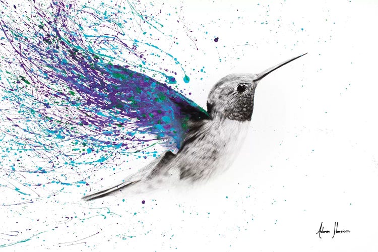 Hummingbird Garden by Ashvin Harrison wall art