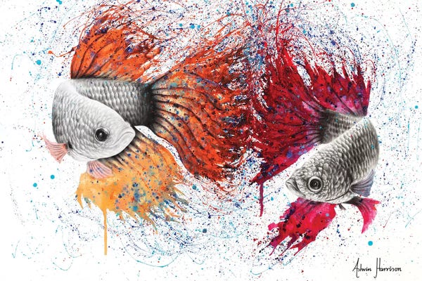 Betta