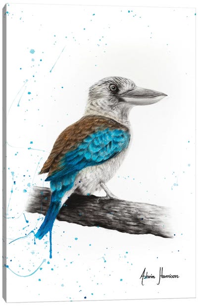 One Clever Kookaburra Canvas Art Print - Kookaburras