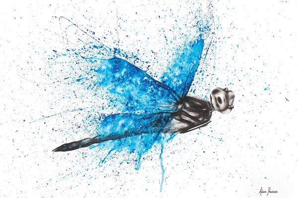 Dragonflies: I Came Back To Say Hi by Ashvin Harrison