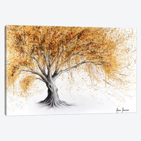 Golden Glow Tree Canvas Print #VIN443} by Ashvin Harrison Art Print