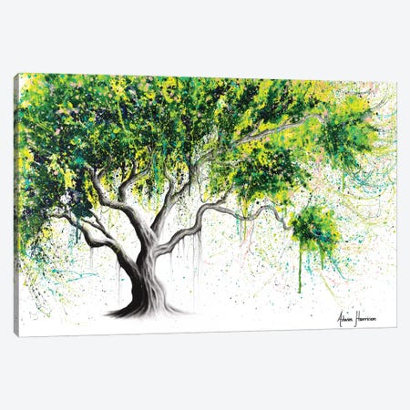 Funky Fig Tree Canvas Print #VIN452} by Ashvin Harrison Canvas Artwork