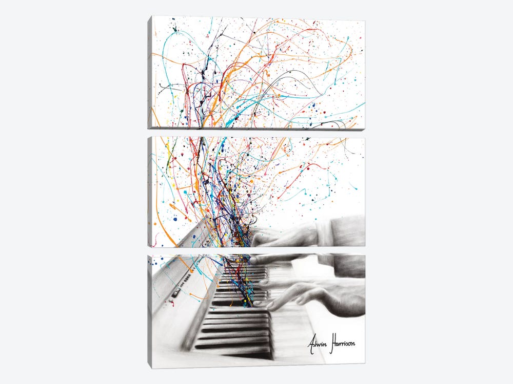 The Keyboard Solo by Ashvin Harrison 3-piece Canvas Art Print