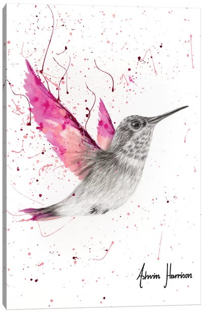 Magenta Rose Bird Canvas Art Print - Hummingbird Art