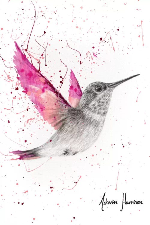 Magenta Rose Bird by Ashvin Harrison wall art
