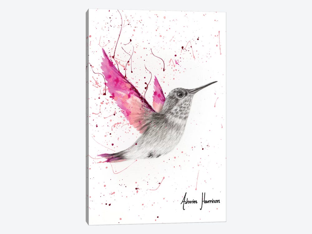 Magenta Rose Bird by Ashvin Harrison 1-piece Canvas Print