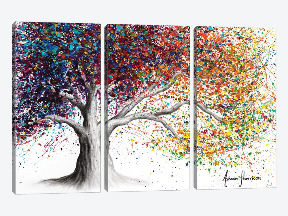 The Colour Of Dreams by Ashvin Harrison 3-piece Canvas Print