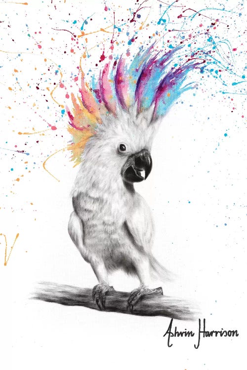 Punk Cockatoo