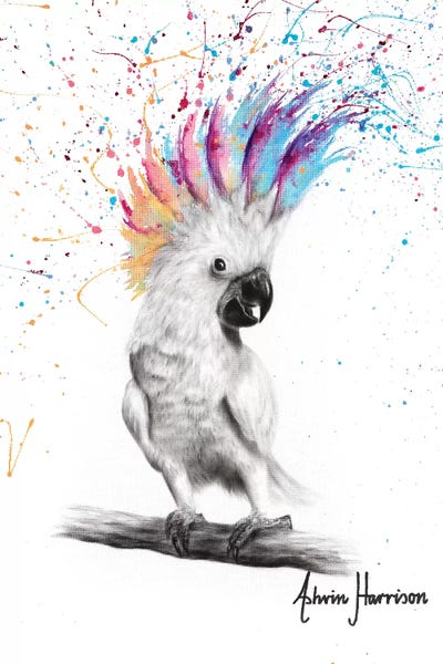 Animal Lover: Punk Cockatoo by Ashvin Harrison