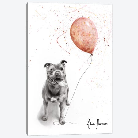 Molly And Her Balloons Canvas Print #VIN486} by Ashvin Harrison Canvas Art