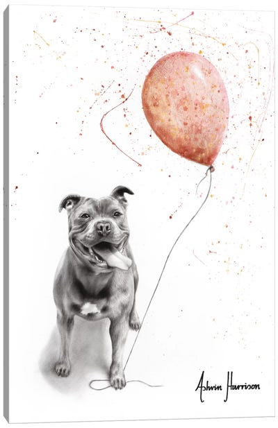 Molly And Her Balloons Canvas Art Print - Balloons