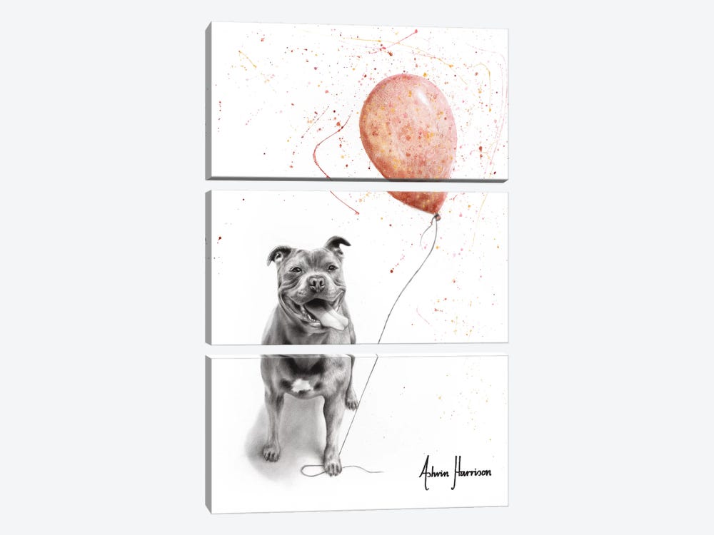 Molly And Her Balloons by Ashvin Harrison 3-piece Canvas Print