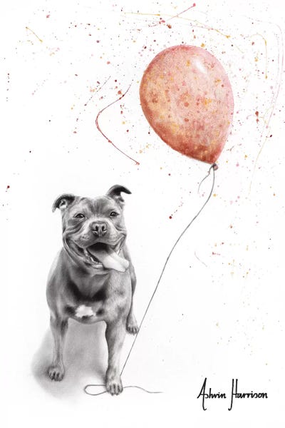 Balloons: Molly And Her Balloons by Ashvin Harrison