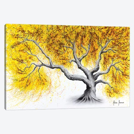 Sunshine Tree Canvas Print #VIN488} by Ashvin Harrison Art Print