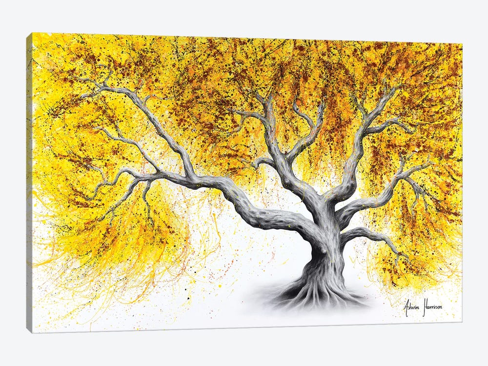 Sunshine Tree by Ashvin Harrison 1-piece Canvas Art Print