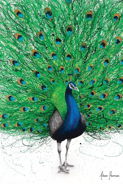 Prancing Peacock by Ashvin Harrison framed wall art
