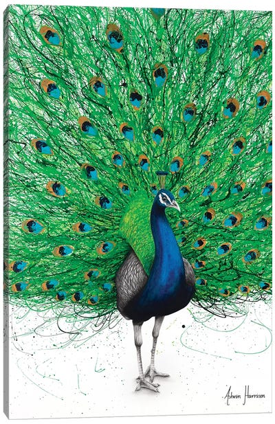 Prancing Peacock Canvas Art Print - Ashvin Harrison