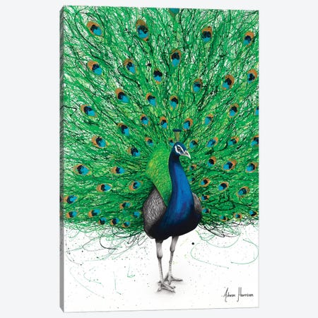 Prancing Peacock Canvas Print #VIN492} by Ashvin Harrison Canvas Wall Art