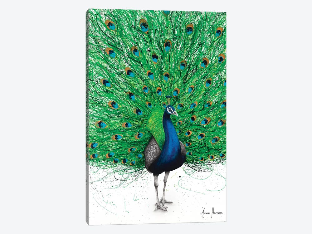 Prancing Peacock by Ashvin Harrison 1-piece Canvas Art