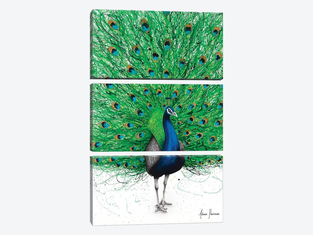 Prancing Peacock by Ashvin Harrison 3-piece Canvas Artwork