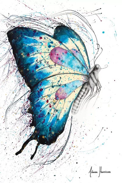 Butterflies: Picnic Butterfly by Ashvin Harrison