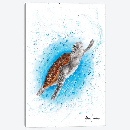 Happy Sea Turtle Canvas Print #VIN505} by Ashvin Harrison Canvas Art Print