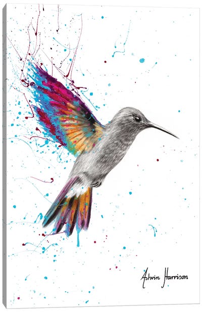 A New Melody Canvas Art Print - Hummingbird Art