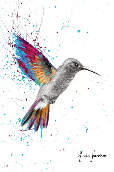 Embellished Animals: A New Melody by Ashvin Harrison