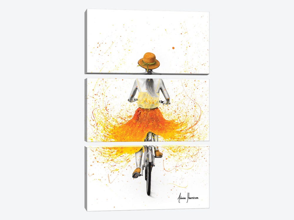 Summer Breeze Bicycle by Ashvin Harrison 3-piece Canvas Wall Art