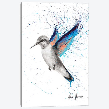 Azul Hummingbird Canvas Print #VIN530} by Ashvin Harrison Canvas Art Print
