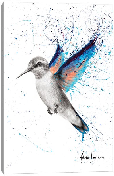 Azul Hummingbird Canvas Art Print - Hummingbird Art
