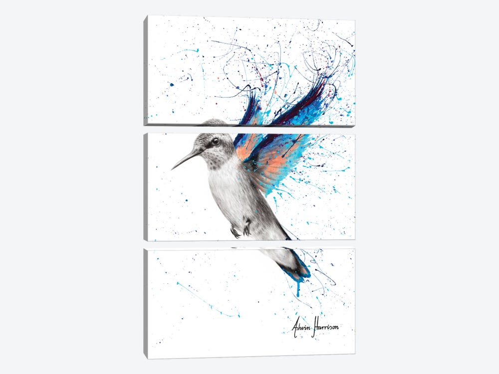 Azul Hummingbird by Ashvin Harrison 3-piece Canvas Art Print