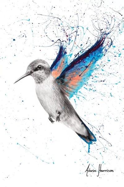 Hyper-Realistic & Detailed Drawings: Azul Hummingbird by Ashvin Harrison
