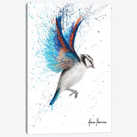 Sunset Feather Finch Canvas Print #VIN531} by Ashvin Harrison Art Print