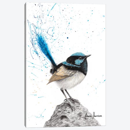 Mountain Blue Wren Canvas Print #VIN534} by Ashvin Harrison Canvas Wall Art