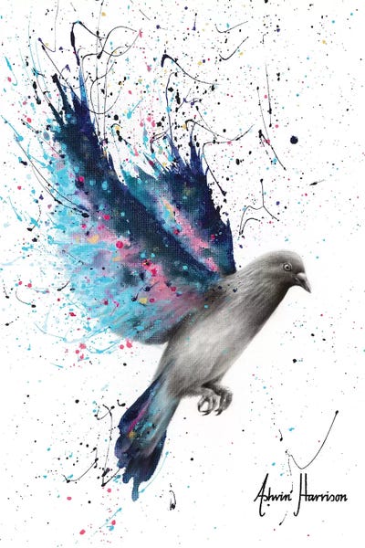 Twinkle Wings by Ashvin Harrison canvas print