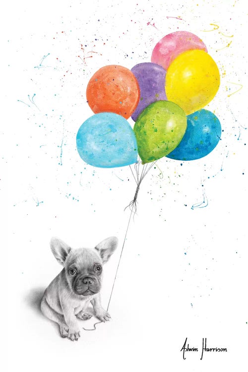 Little Frenchie And The Balloons