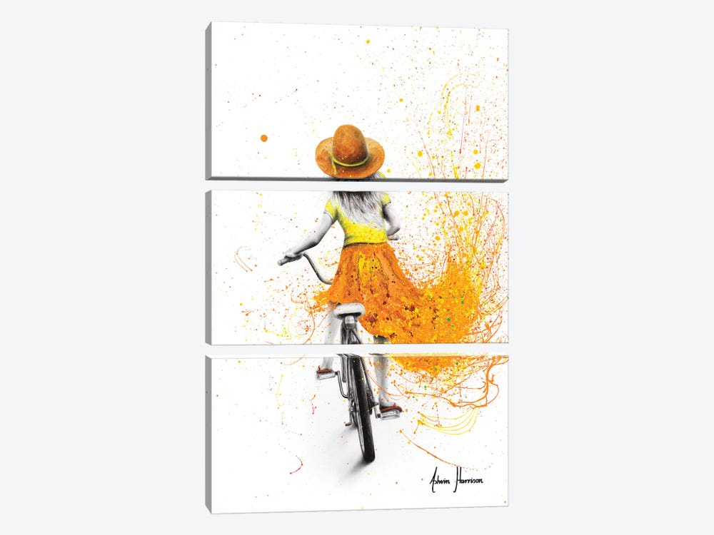 Her First Bicycle by Ashvin Harrison 3-piece Art Print