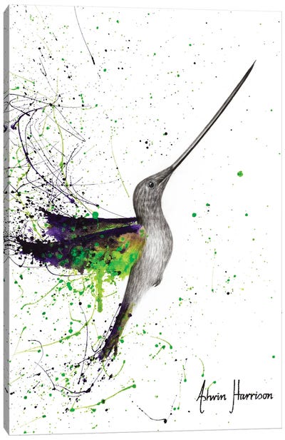 Joyful Garden Hummingbird Canvas Art Print - Ashvin Harrison