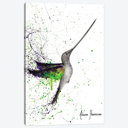 Joyful Garden Hummingbird Canvas Print #VIN548} by Ashvin Harrison Canvas Wall Art