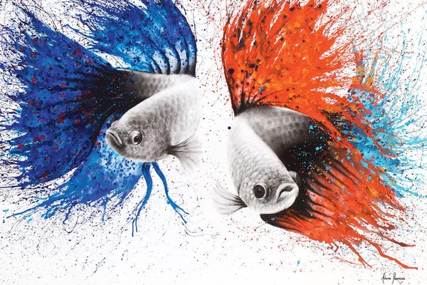 Betta: Love At First Sight by Ashvin Harrison