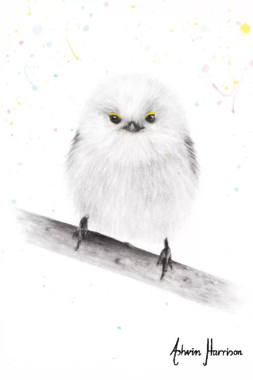 Happy Fluffy by Ashvin Harrison wall art