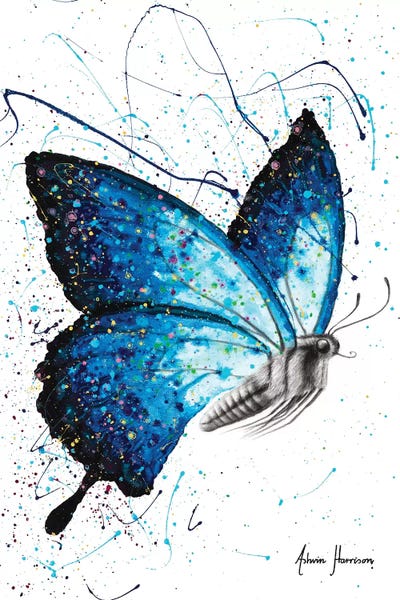 Butterflies: Blue Freedom Butterfly by Ashvin Harrison