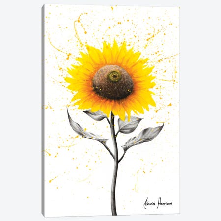 Sunflower Celebration Canvas Print #VIN582} by Ashvin Harrison Canvas Artwork