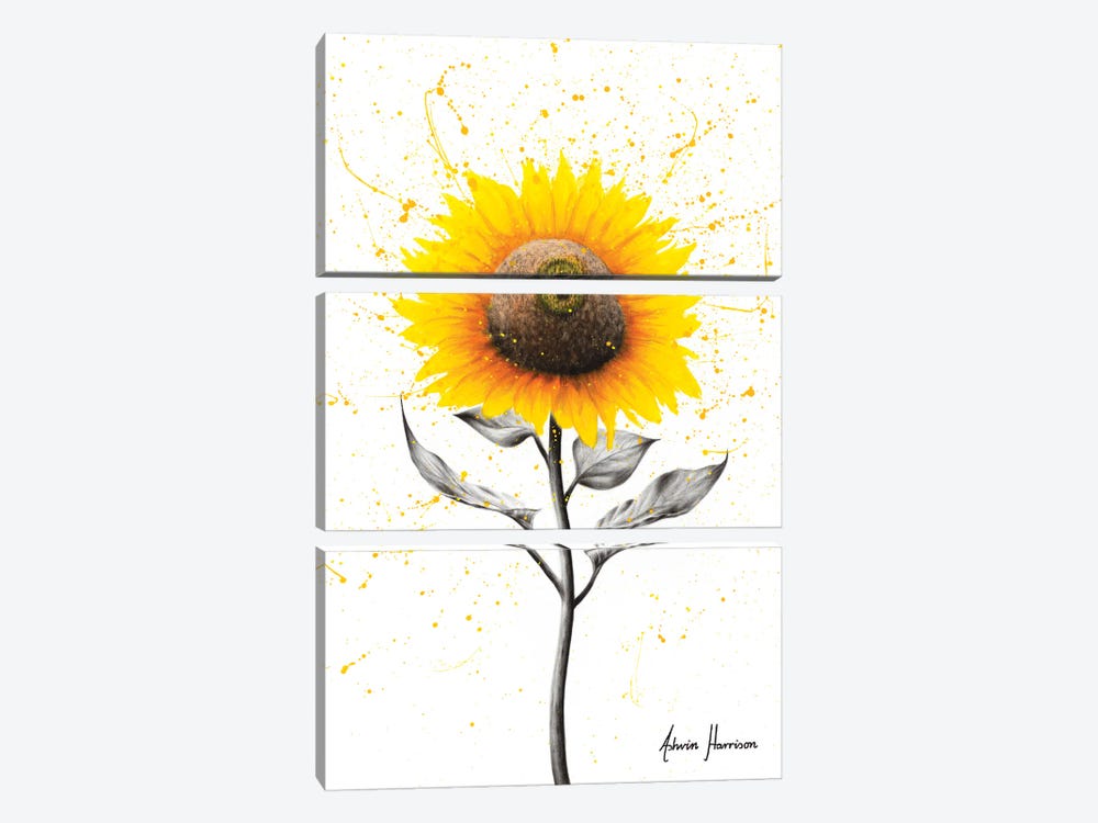 Sunflower Celebration by Ashvin Harrison 3-piece Canvas Art
