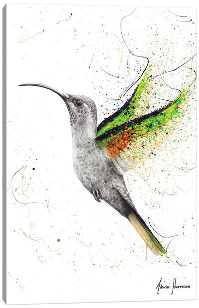Hero Hummingbird Canvas Art Print - Hummingbird Art