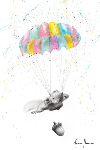 Rodents: Squirrel Dreams by Ashvin Harrison